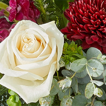 Cranberry Fizz Bouquet –  Margartia Flowers, Jersey City NJ