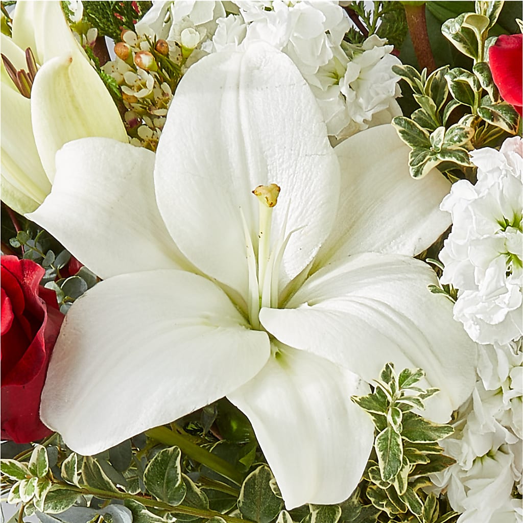 Twinkle Lights Bouquet –  Margartia Flowers, Jersey City NJ