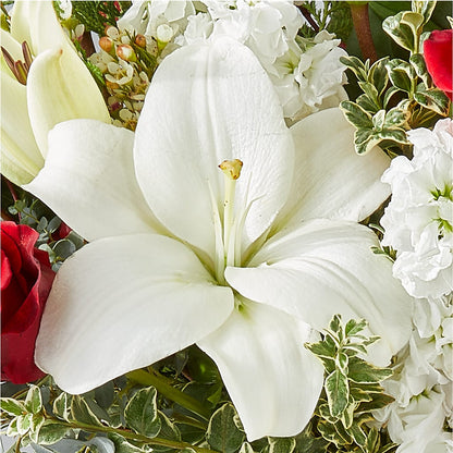 Twinkle Lights Bouquet –  Margartia Flowers, Jersey City NJ