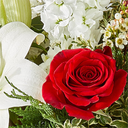 Twinkle Lights Bouquet –  Margartia Flowers, Jersey City NJ