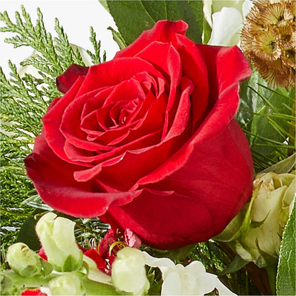 Deck the Halls Bouquet –  Margartia Flowers, Jersey City NJ