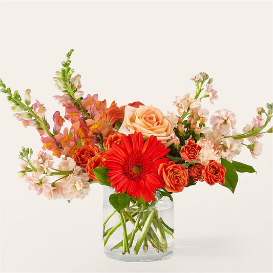 Paloma Please Bouquet –  Margartia Flowers, Jersey City NJ