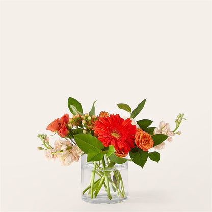 Paloma Please Bouquet –  Margartia Flowers, Jersey City NJ