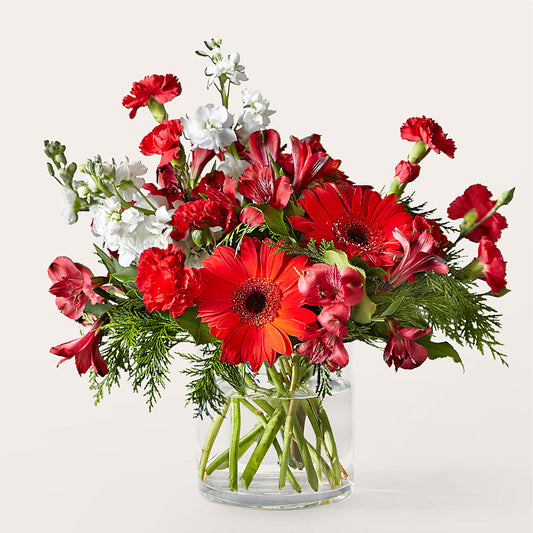 Holidaisy Bouquet –  Margartia Flowers, Jersey City NJ
