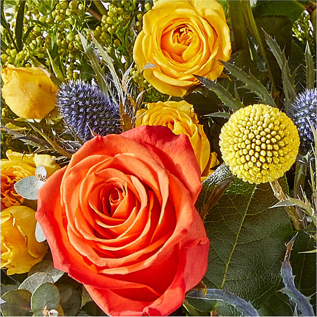 Disco Bouquet –  Margartia Flowers, Jersey City NJ