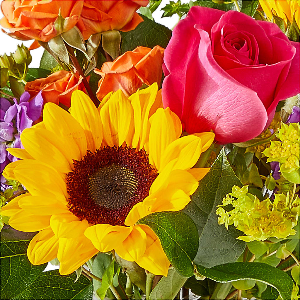 Vibrant Greetings Bouquet –  Margartia Flowers, Jersey City NJ