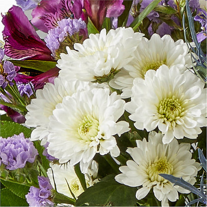 Shooting Star Bouquet –  Margartia Flowers, Jersey City NJ
