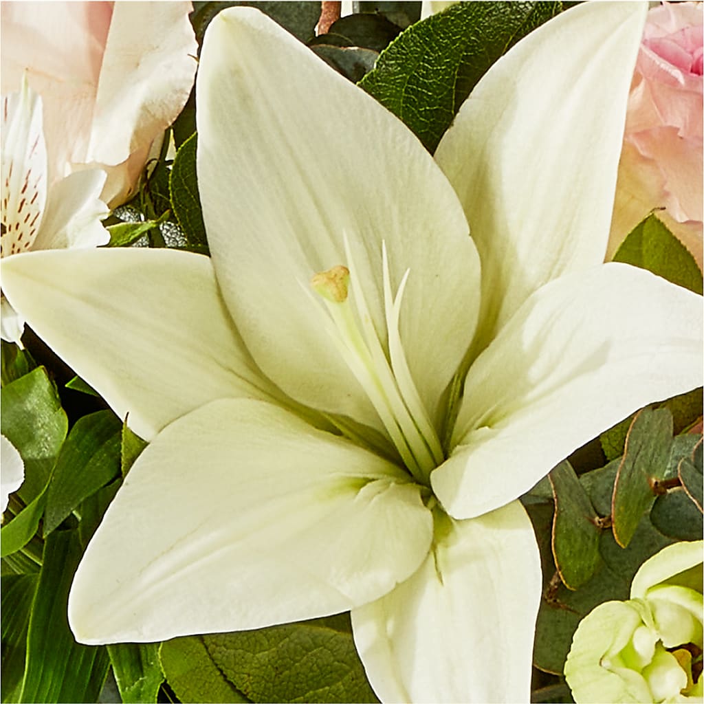 Ballet Slippers Bouquet –  Margartia Flowers, Jersey City NJ