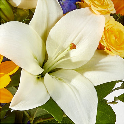 Wonderfully Sunny Bouquet –  Margartia Flowers, Jersey City NJ