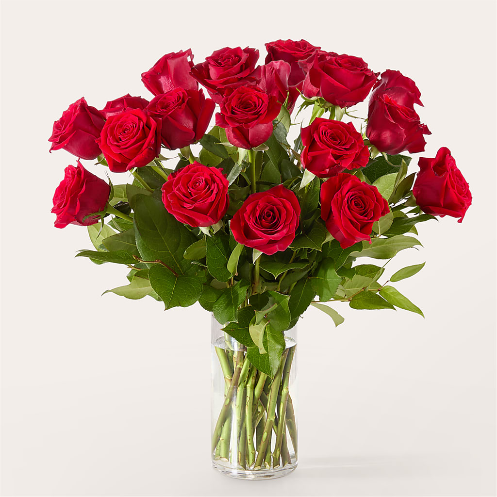 The One Red Rose Bouquet –  Margartia Flowers, Jersey City NJ