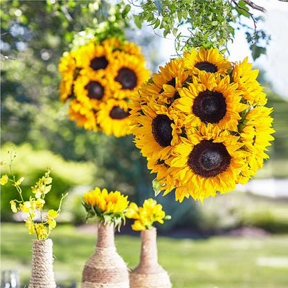 Sublime Garden Hanging Arrangement –  Margartia Flowers, Jersey City NJ