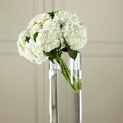 White Hydrangea Hand-Tied Bouquet –  Margartia Flowers, Jersey City NJ