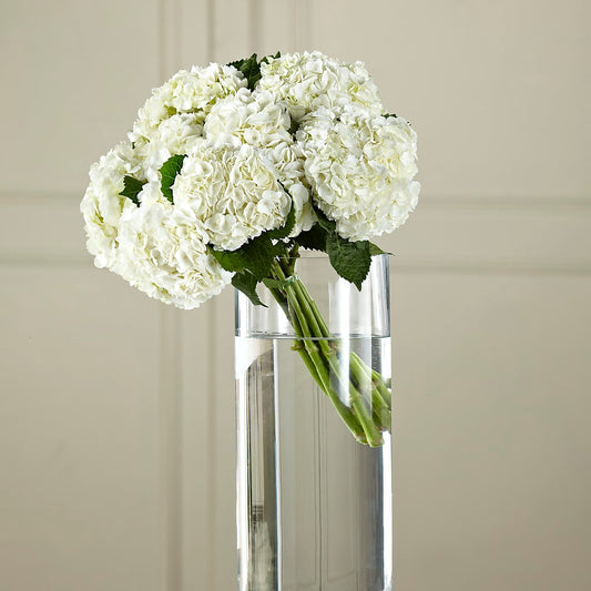 White Hydrangea Hand-Tied Bouquet –  Margartia Flowers, Jersey City NJ