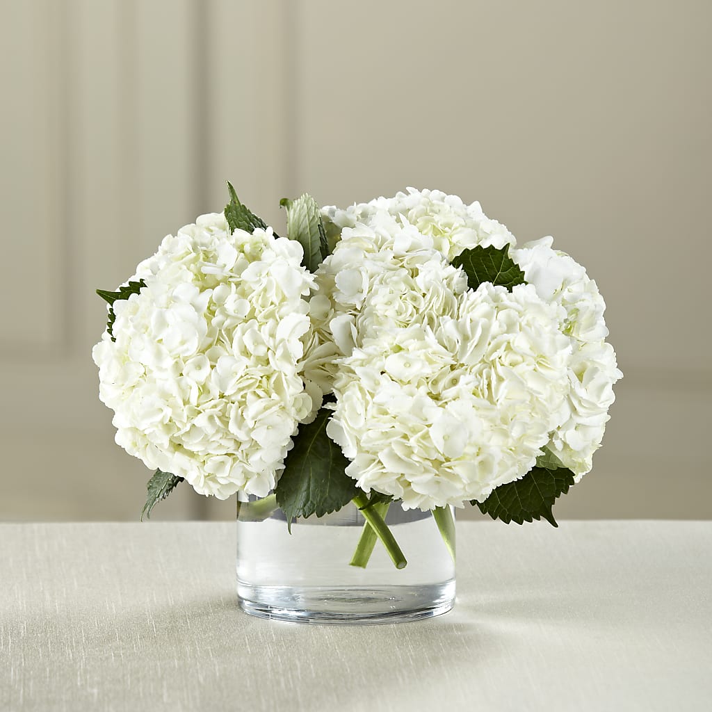 White Hydrangea Bouquet –  Margartia Flowers, Jersey City NJ