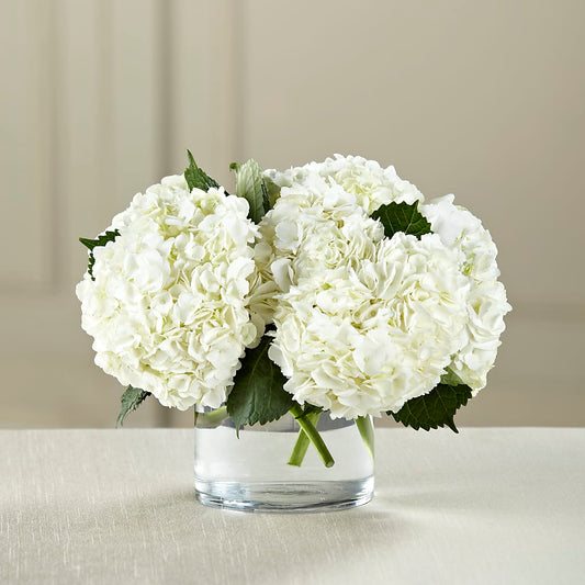 White Hydrangea Bouquet –  Margartia Flowers, Jersey City NJ