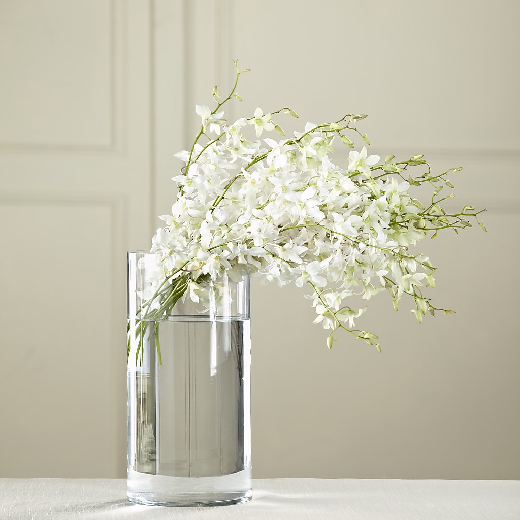 White Dendrobium Bouquet –  Margartia Flowers, Jersey City NJ